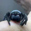 shrimp_seal