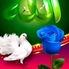 user2205212795811