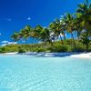tropicalidreamz