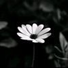 user7491628703081