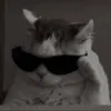 ._paefak_0