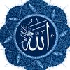 najet.mhamdi.1