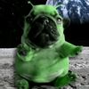 graciewhoo_13