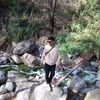 yanuarpangestu5