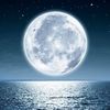 dreammoon016