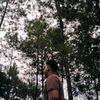 wildnnbl