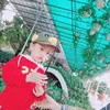 phmbk8
