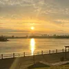 tis_63739