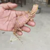 hasanslalu