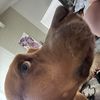 ibetjake2