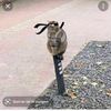 leandrogalindogar