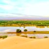 medoubb344