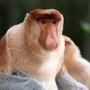 friedbert2