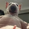 duchann_04