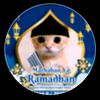 habibkeche4