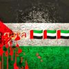 tahbin12345