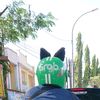 dagaduu2