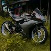 trend.....m1