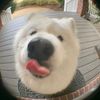 dao._zx
