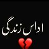 hayatjan804