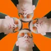 alexander_ltv