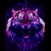 _ampunbangjagooo24