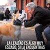 humbertovarn