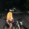 fake0_20