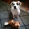 _miranieminen_