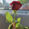 akla_zarar_65