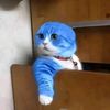 catpause6