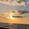 anna.nowak484