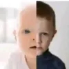 ni_kolis