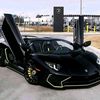 anishaddad311