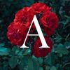 aligadry8