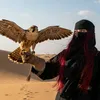 medark31