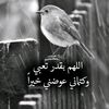 nihelnihel661