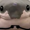 stack_of_seals
