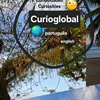 curio.global