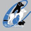 yourluxpetsitter22