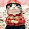 xx.never2gay4melvin.xx