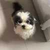 iyah_062