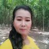 nguyen.luy.69bd
