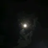_shoon_1