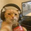 korin_275