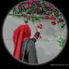 user5977030244706