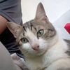 raihans_6