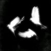 disappear_from.everyone