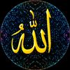 اليمن السعيد🦅✓