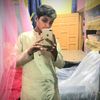 _ahadbaloch508